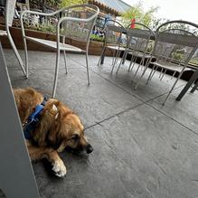 Big Grove Brewery & Taproom restaurant view 5