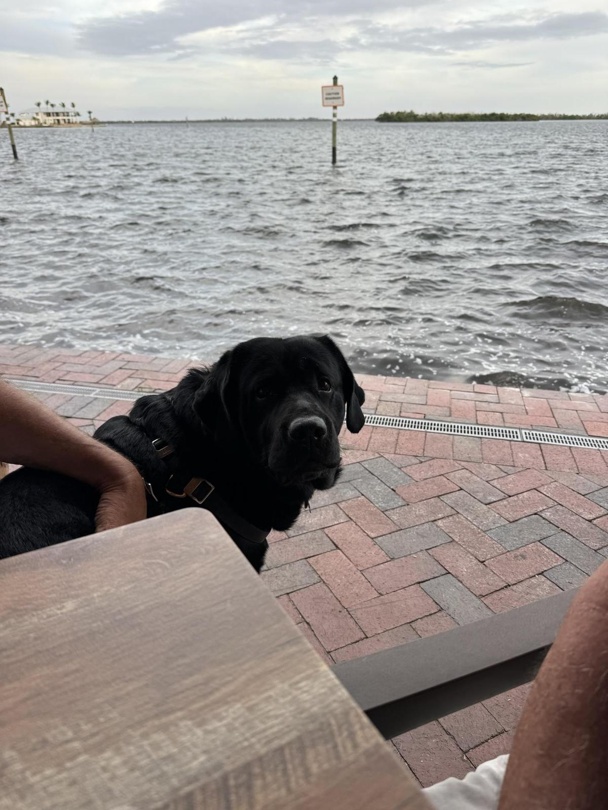 Yucatan Waterfront Bar & Grill restaurant view 2