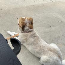 Coffee Waves restaurant view 1