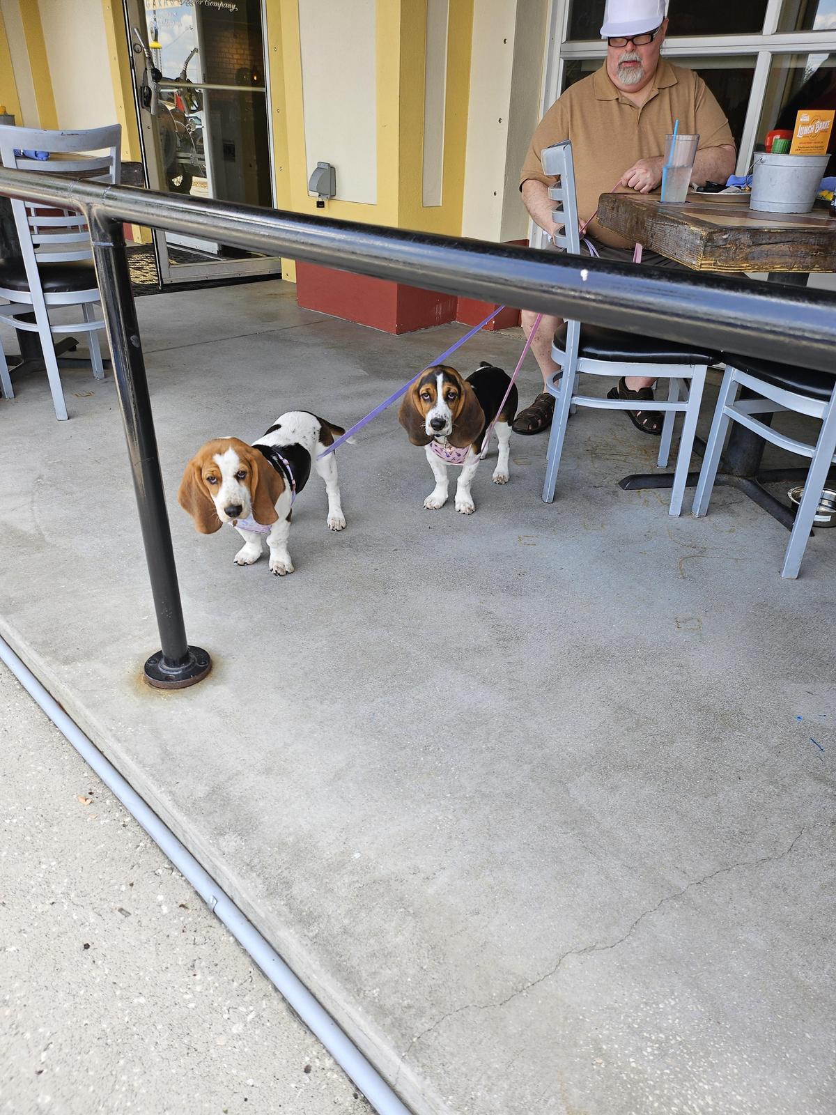 Ford's Garage restaurant view 1