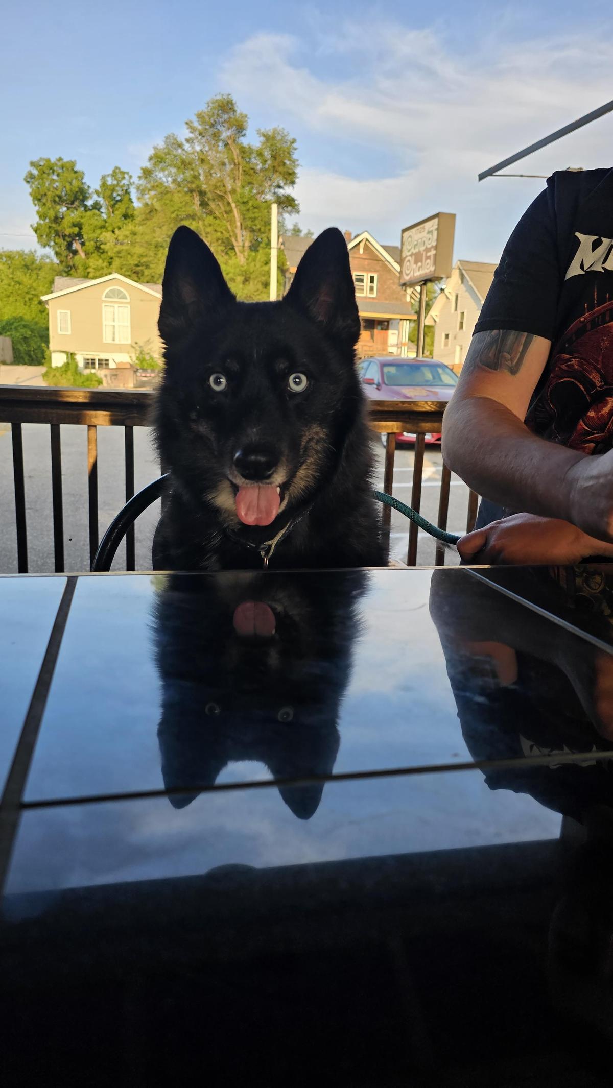 The Loose Chain restaurant view 1