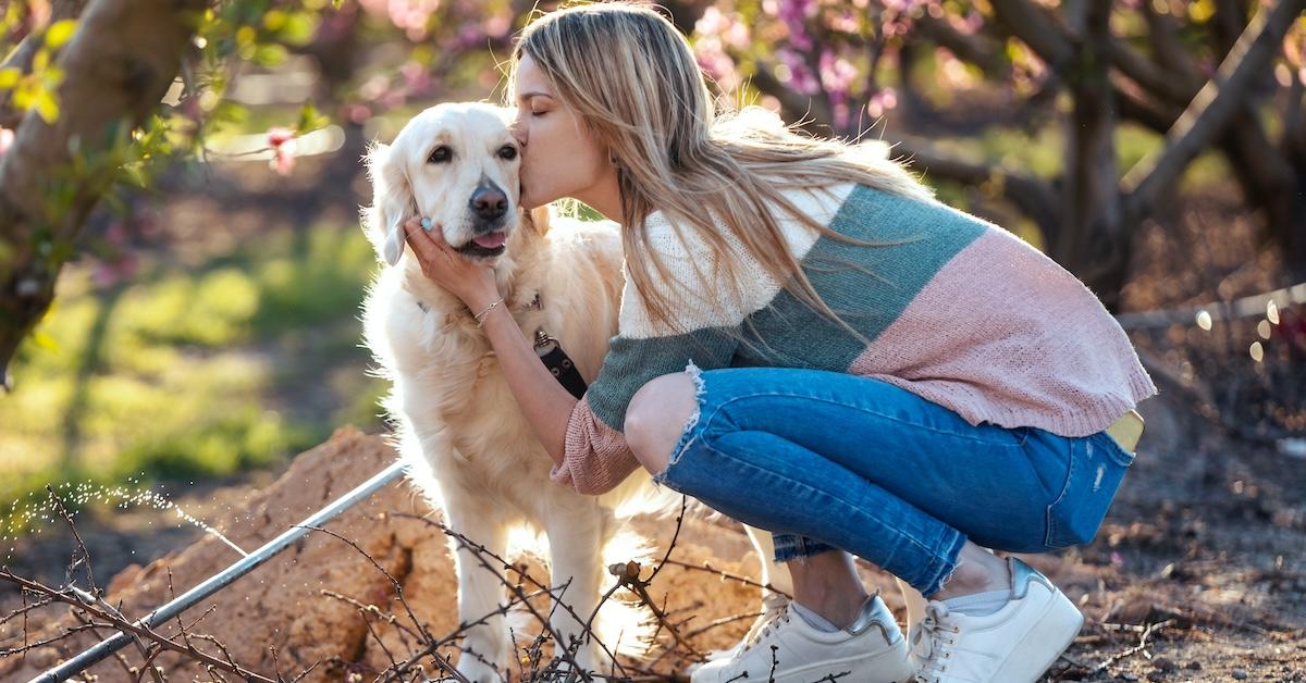 A Woman kisses a Golden Retriever.