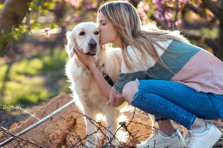 A Woman kisses a Golden Retriever.
