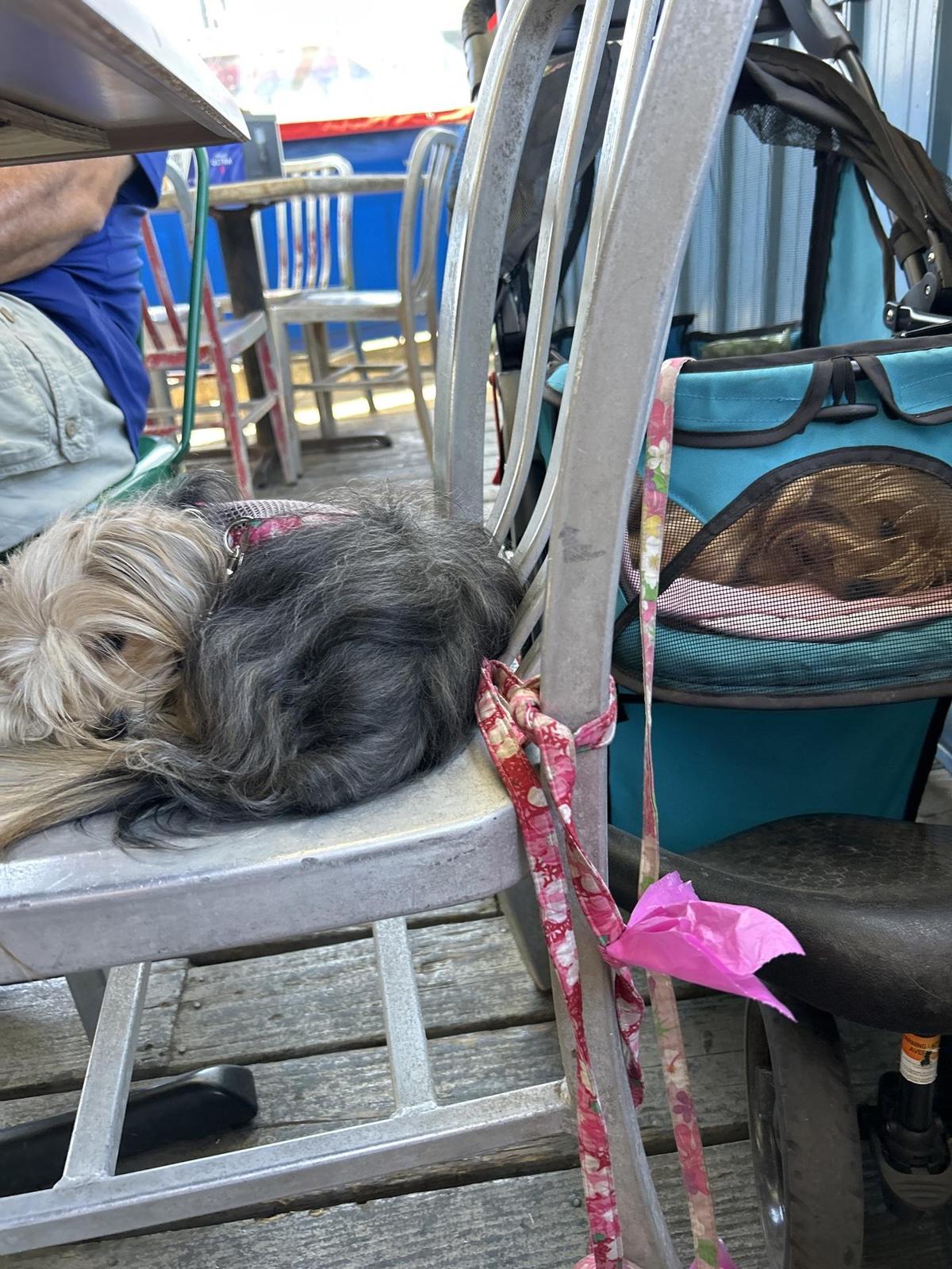 Big Deck Raw Bar restaurant view 1