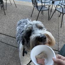Boathouse at Forest Park restaurant view 2