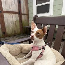 GoodLife Cafe and Bakery restaurant view 1