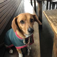 Grain Craft Bar + Kitchen restaurant view 1