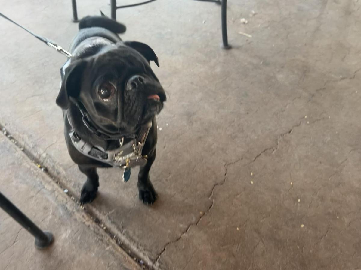 The Crossing Grill & Bar restaurant view 1