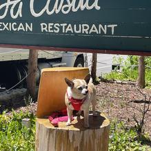 La Casita restaurant view 1