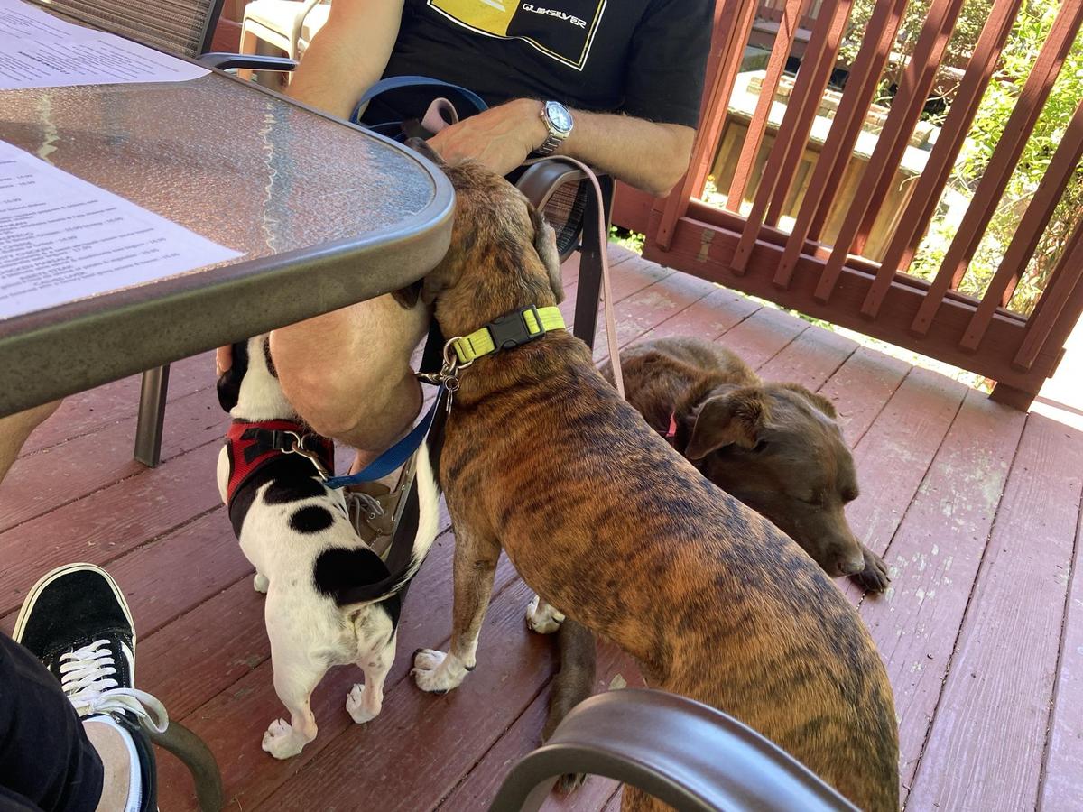 Gravity Restaurant & Bar restaurant view 1