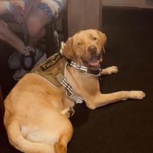 Wings & Ale restaurant view 1