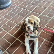 Whiskey 'N Rye restaurant view 1