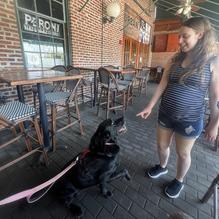 Urban Coalhouse Pizza + Bar Red Bank restaurant view 2