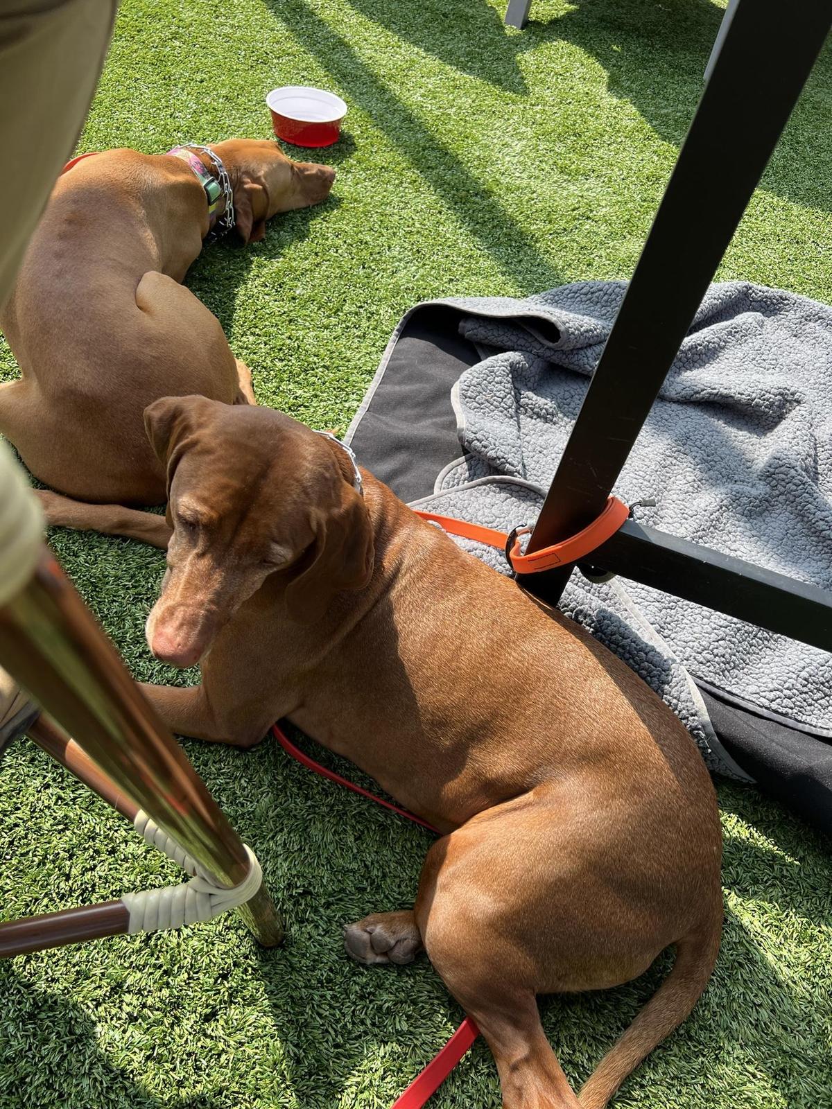 Tumbled Rock Brewery & Kitchen restaurant view 1