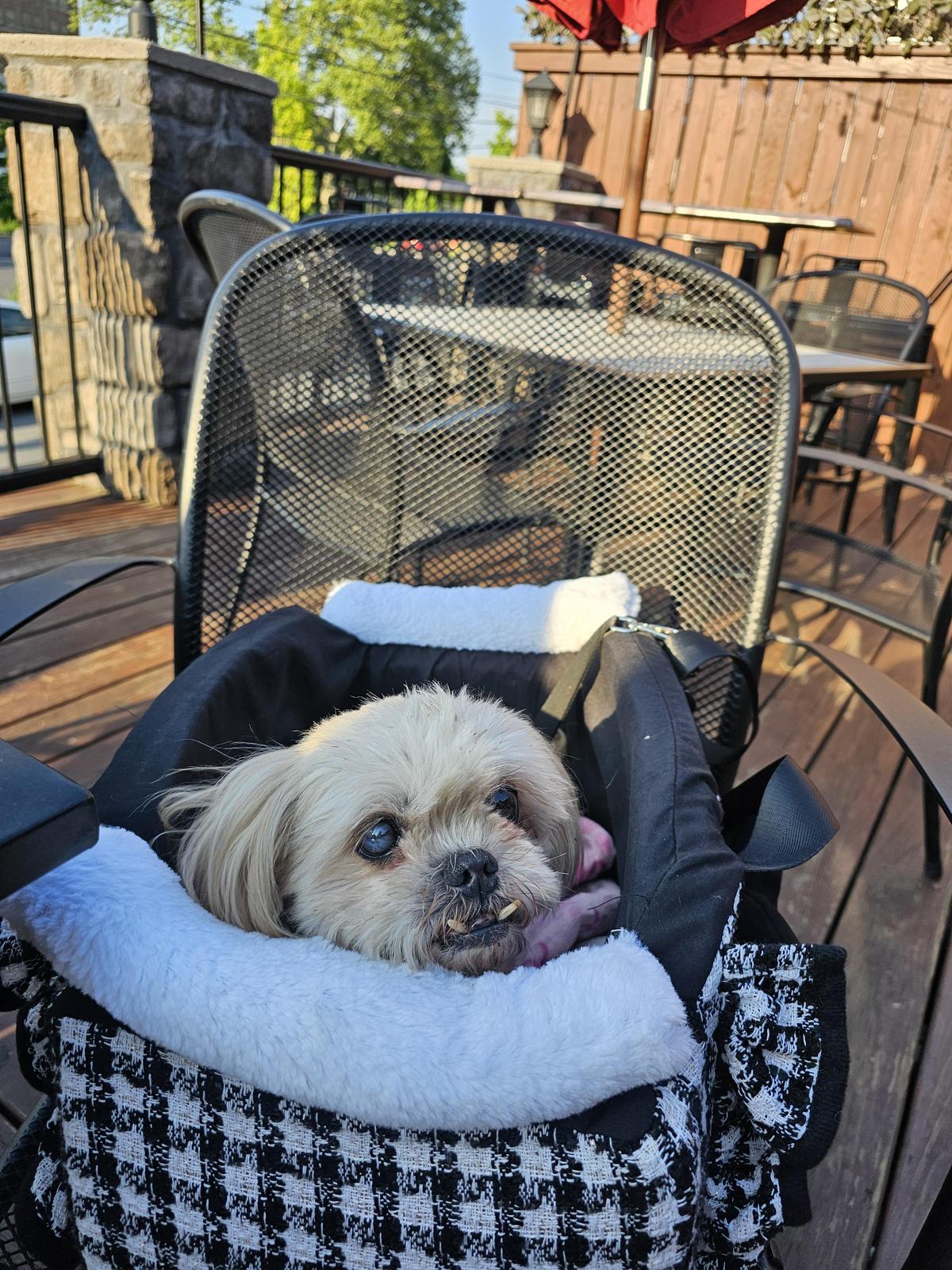 The Nest Bar & Grille restaurant view 1