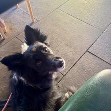 La Fornaretta Restaurant restaurant view 1