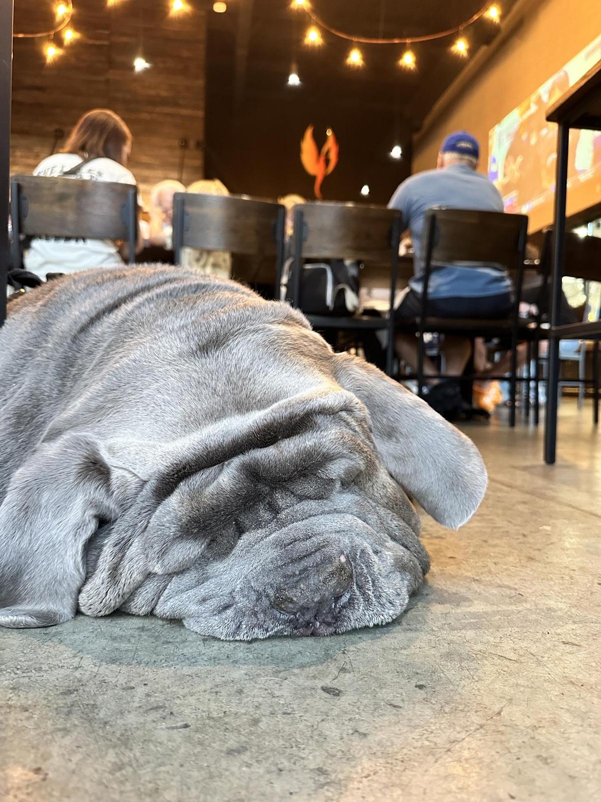 Iron Forge Brewing Company restaurant view 1