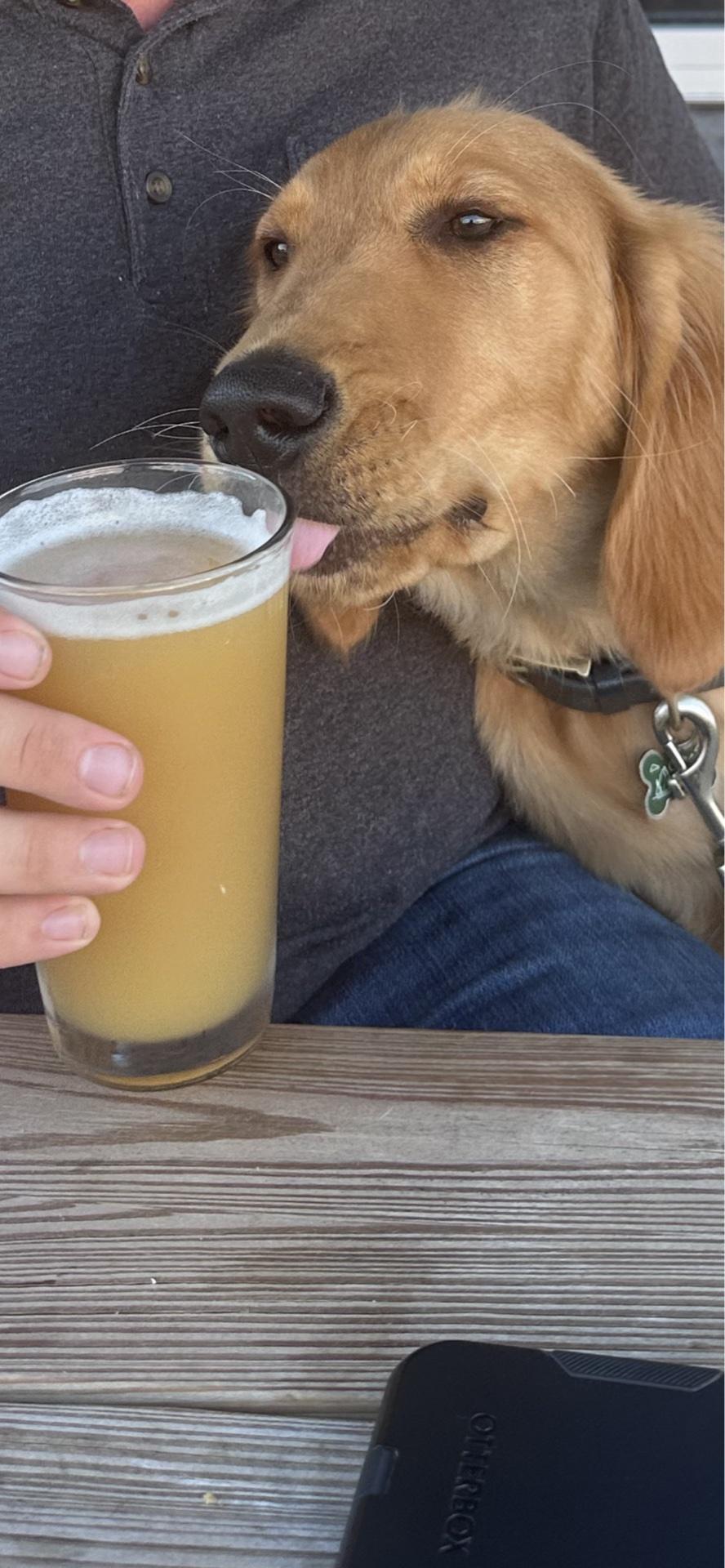 Sixth Sense Brewing & Taproom restaurant view 1