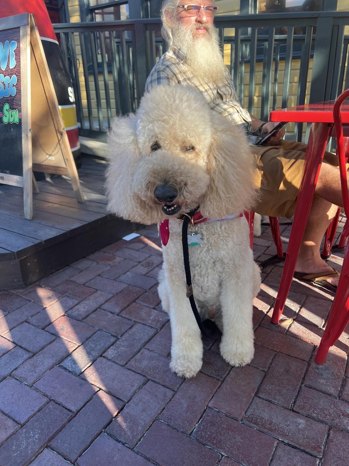 DJ's Clam Shack St. Augustine restaurant view 1