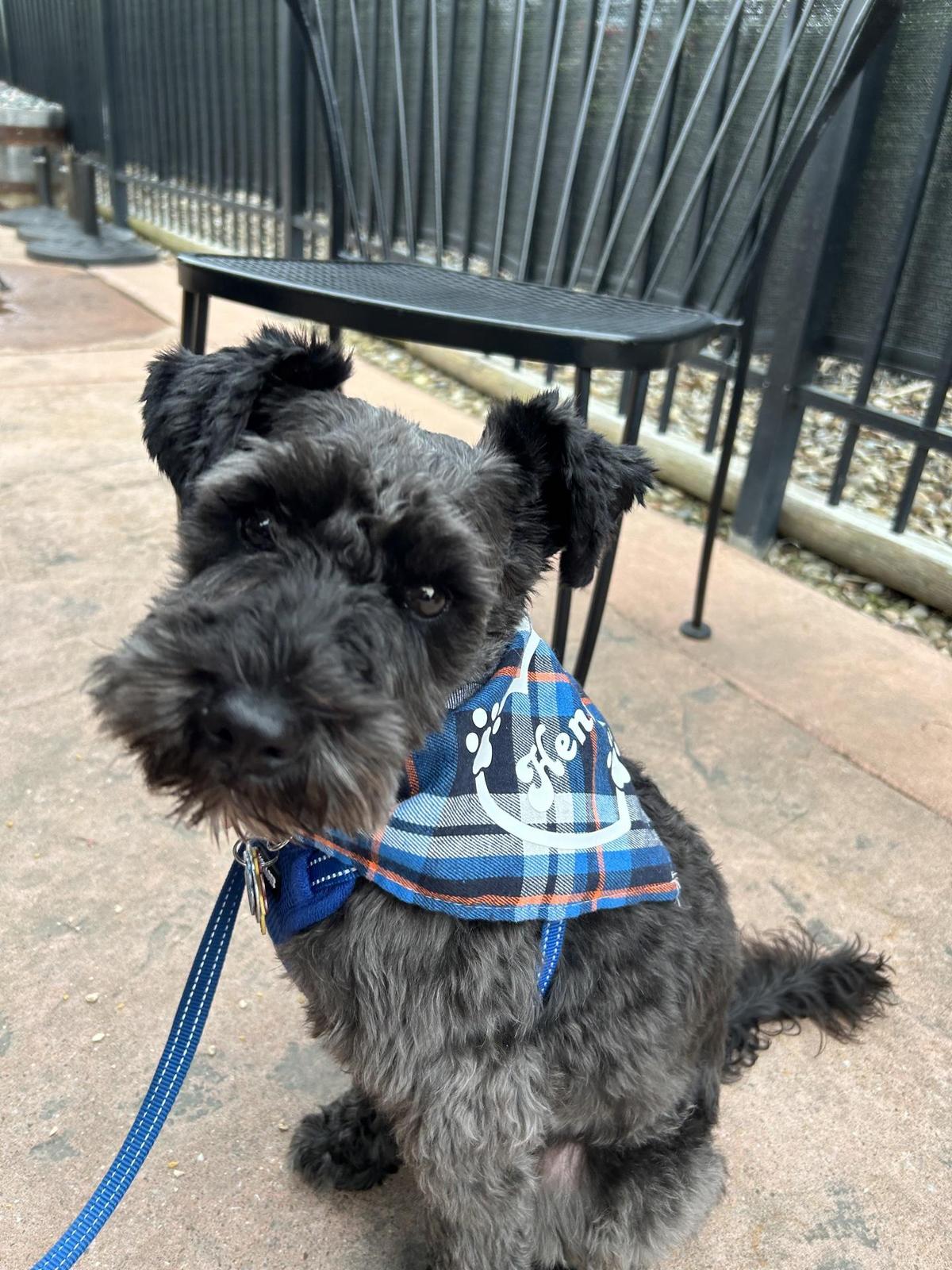 Hop Brothers Brewing restaurant view 1