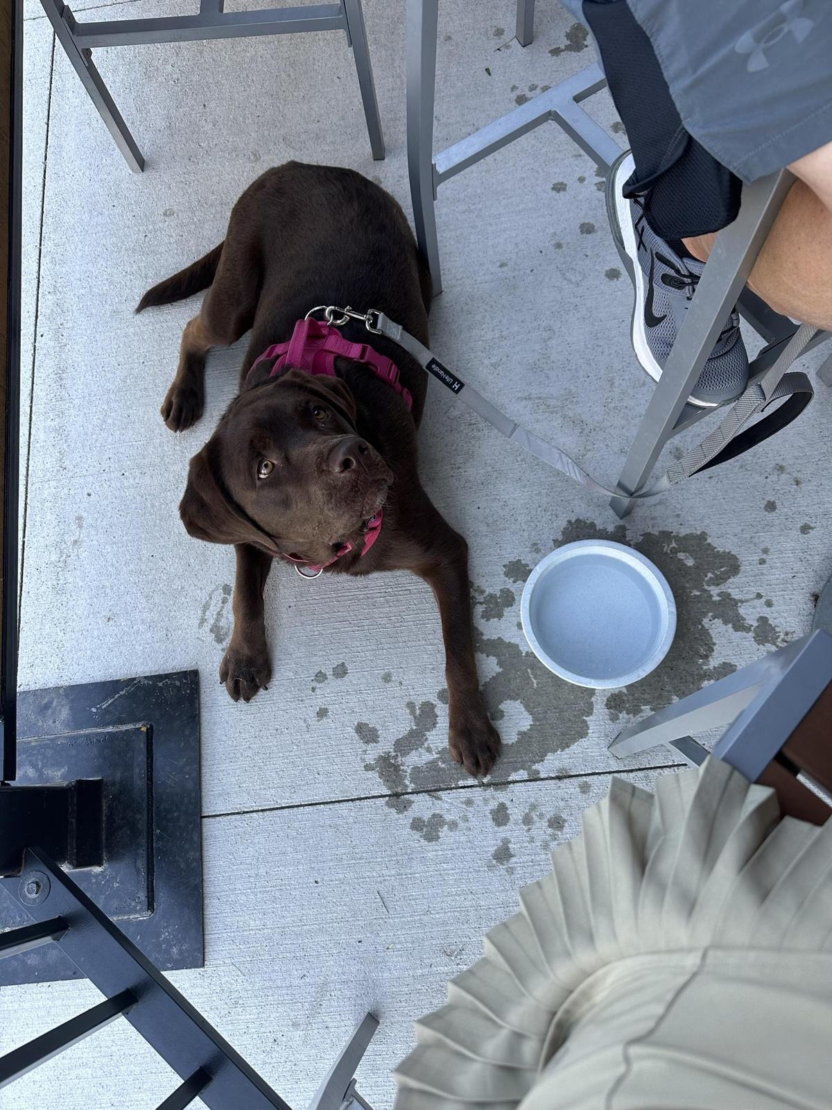 Lu and Carl's restaurant view 1