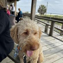 Woody's restaurant view 1