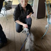 The Settlers Inn restaurant view 1