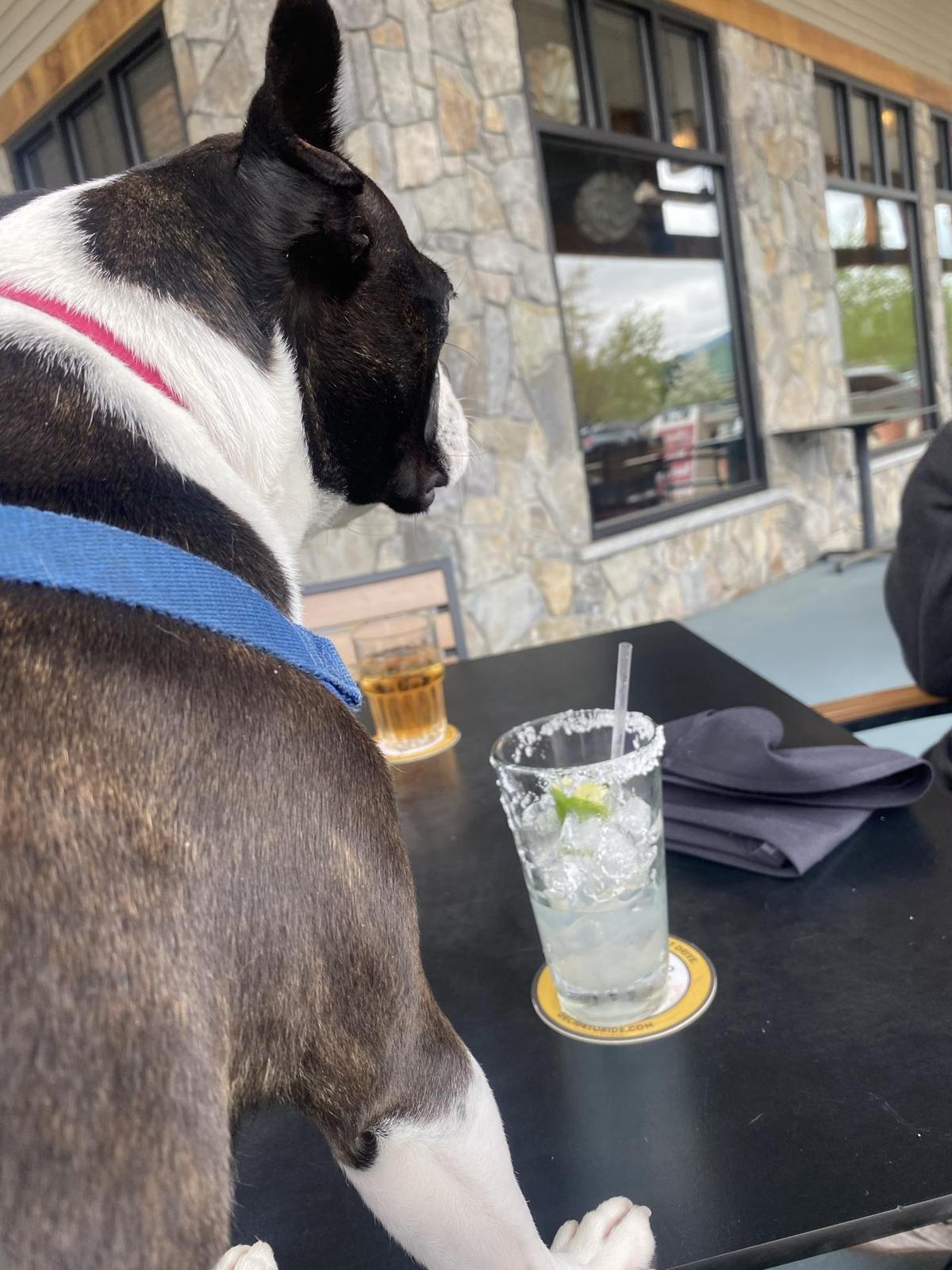 Black Cap Grille restaurant view 1