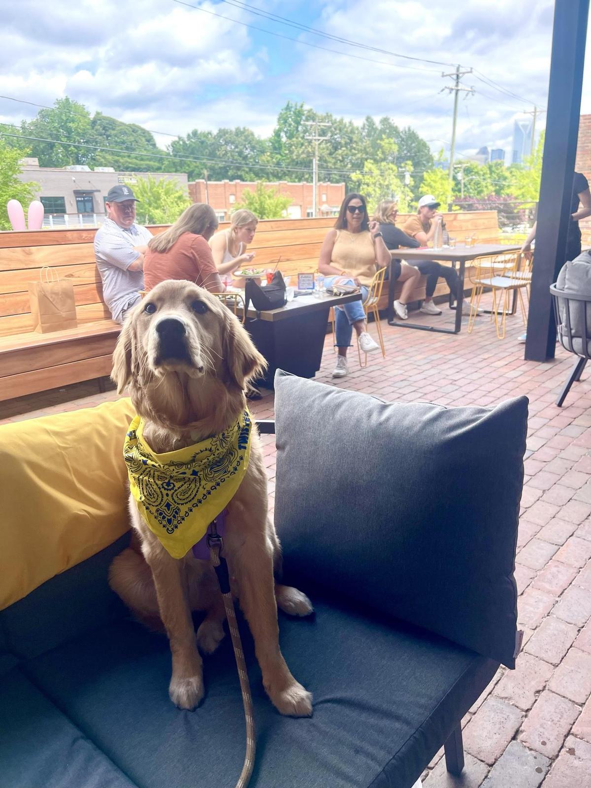 Image of Streetcar Bar + Bites