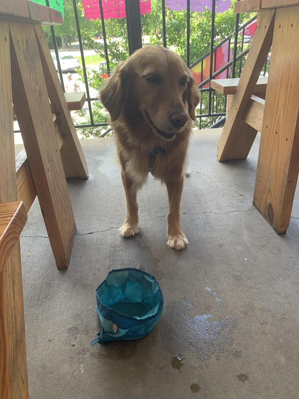 La Cabana Mexican Restaurant restaurant view 1