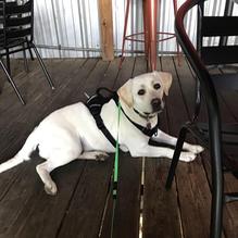 Humphrey Pete's restaurant view 1