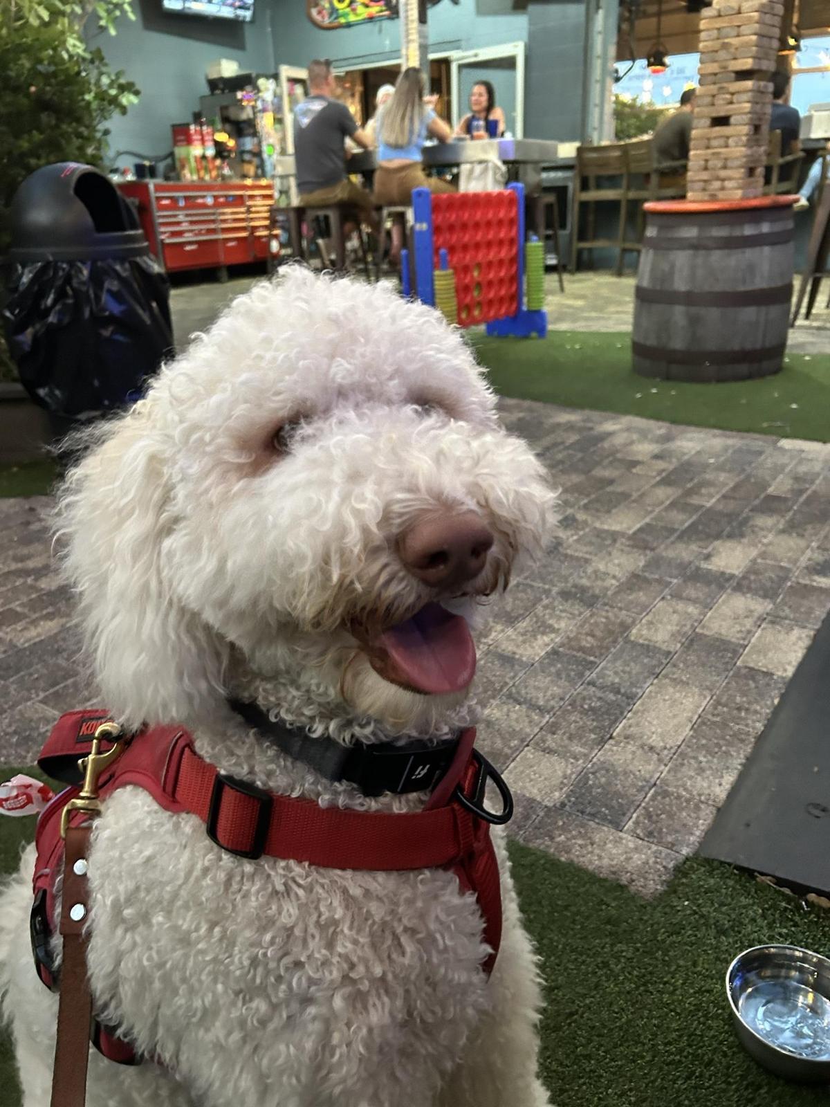 4th Street Fillin Station restaurant view 1