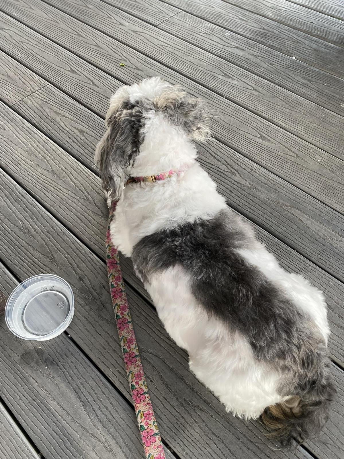 Crabby's Beachside restaurant view 3