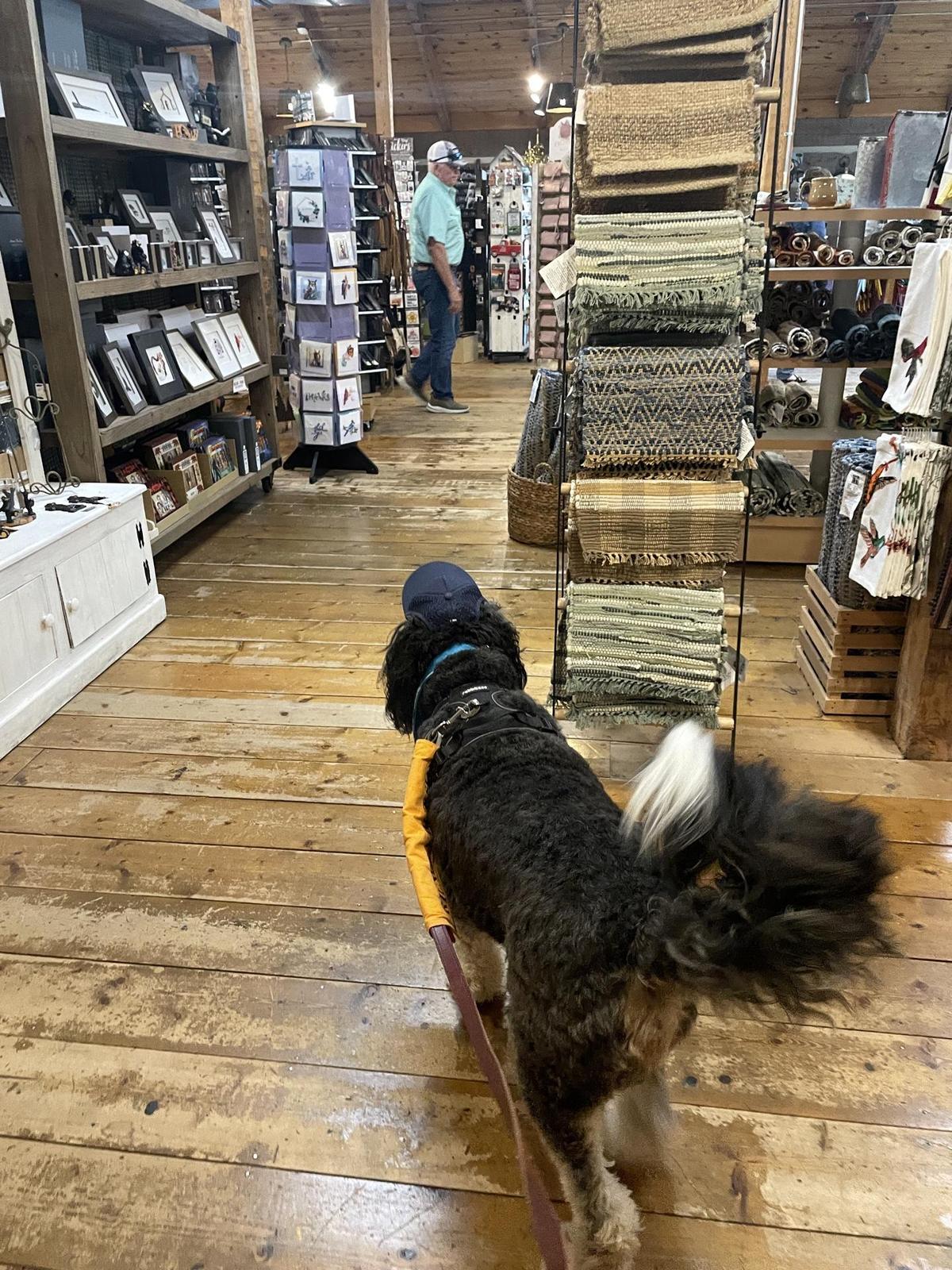 Apple Valley Kitchen Cafe restaurant view 1