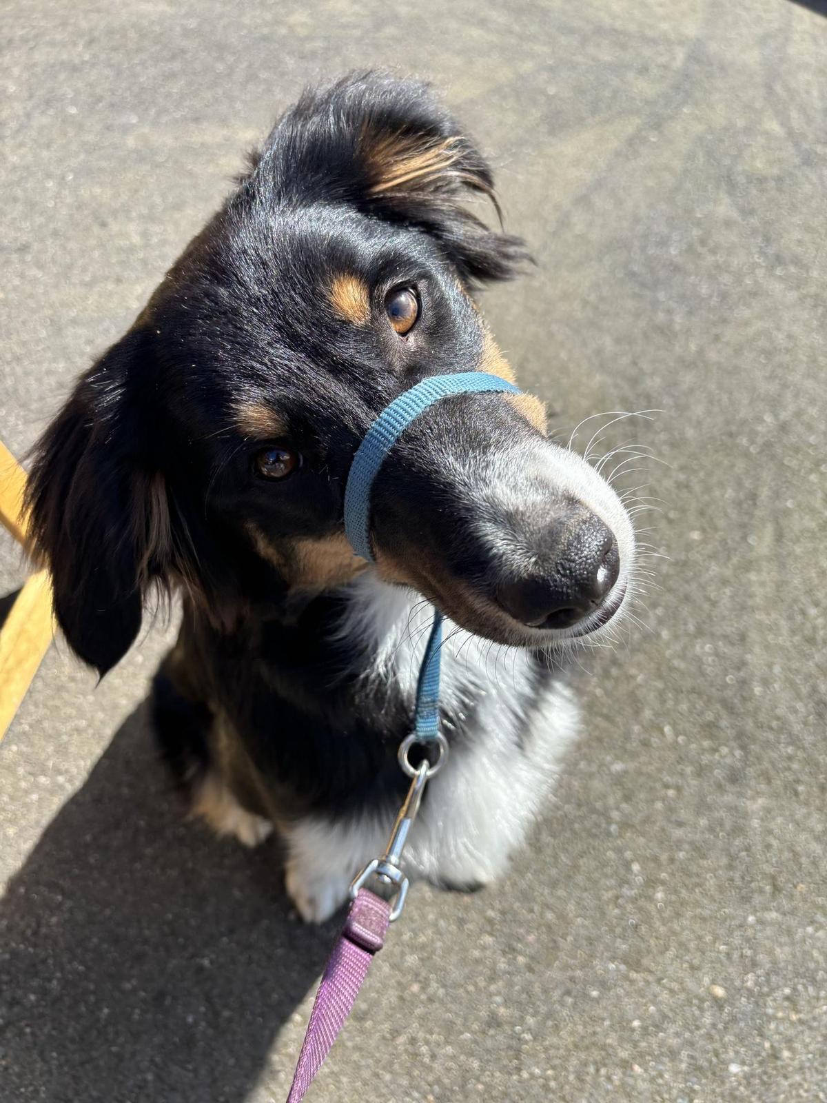 Feral Public House restaurant view 1