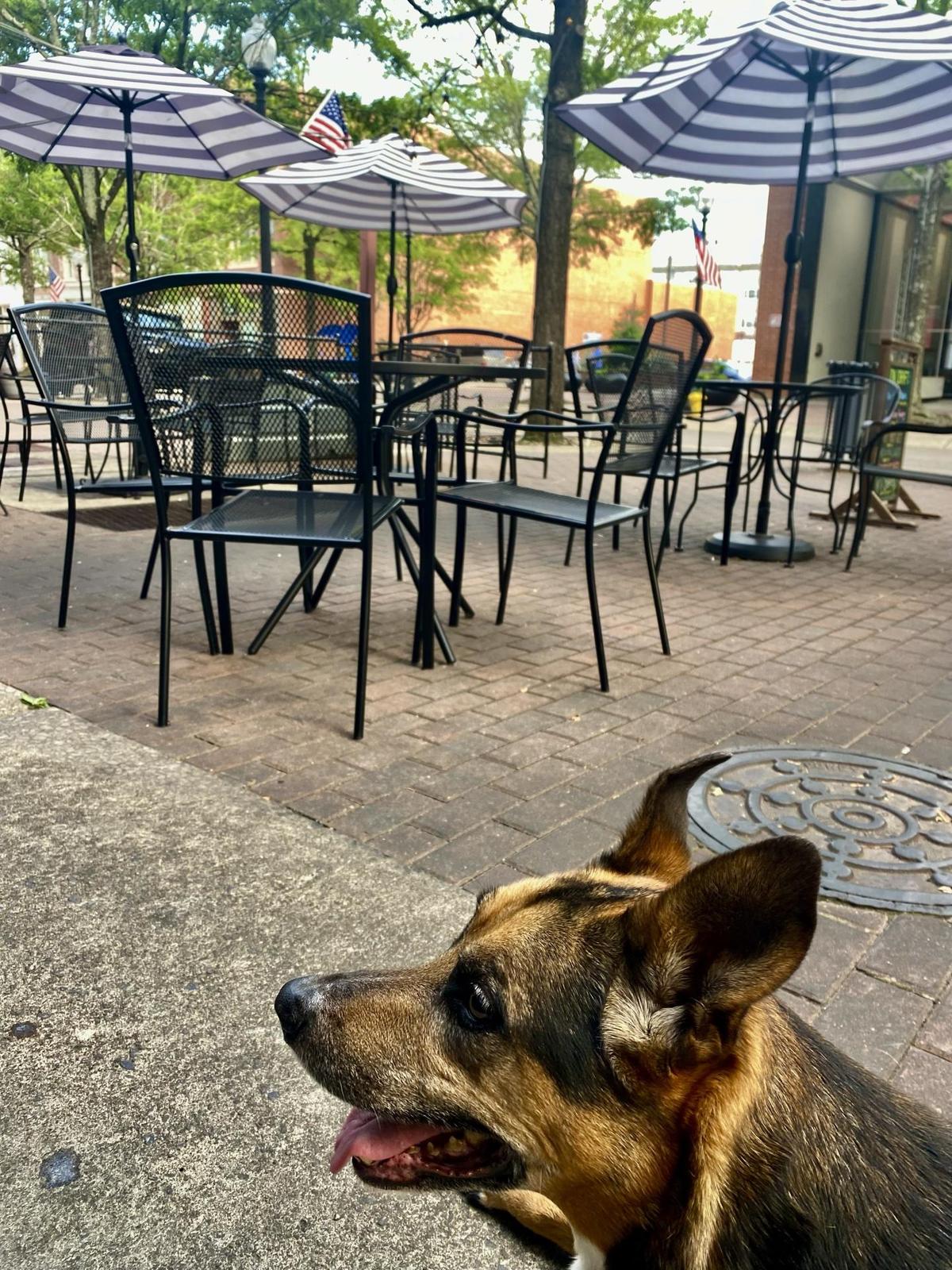 Gaston Brewing Company restaurant view 3