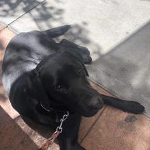 Tres Hermanas restaurant view 1