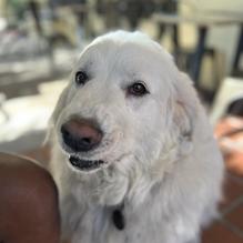 Coffee Pub restaurant view 1