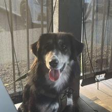 On the Border Mexican Grill & Cantina restaurant view 1