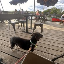 Schooner Landing restaurant view 1