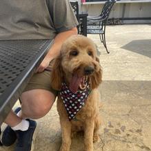 Public House Brewing Company restaurant view 1