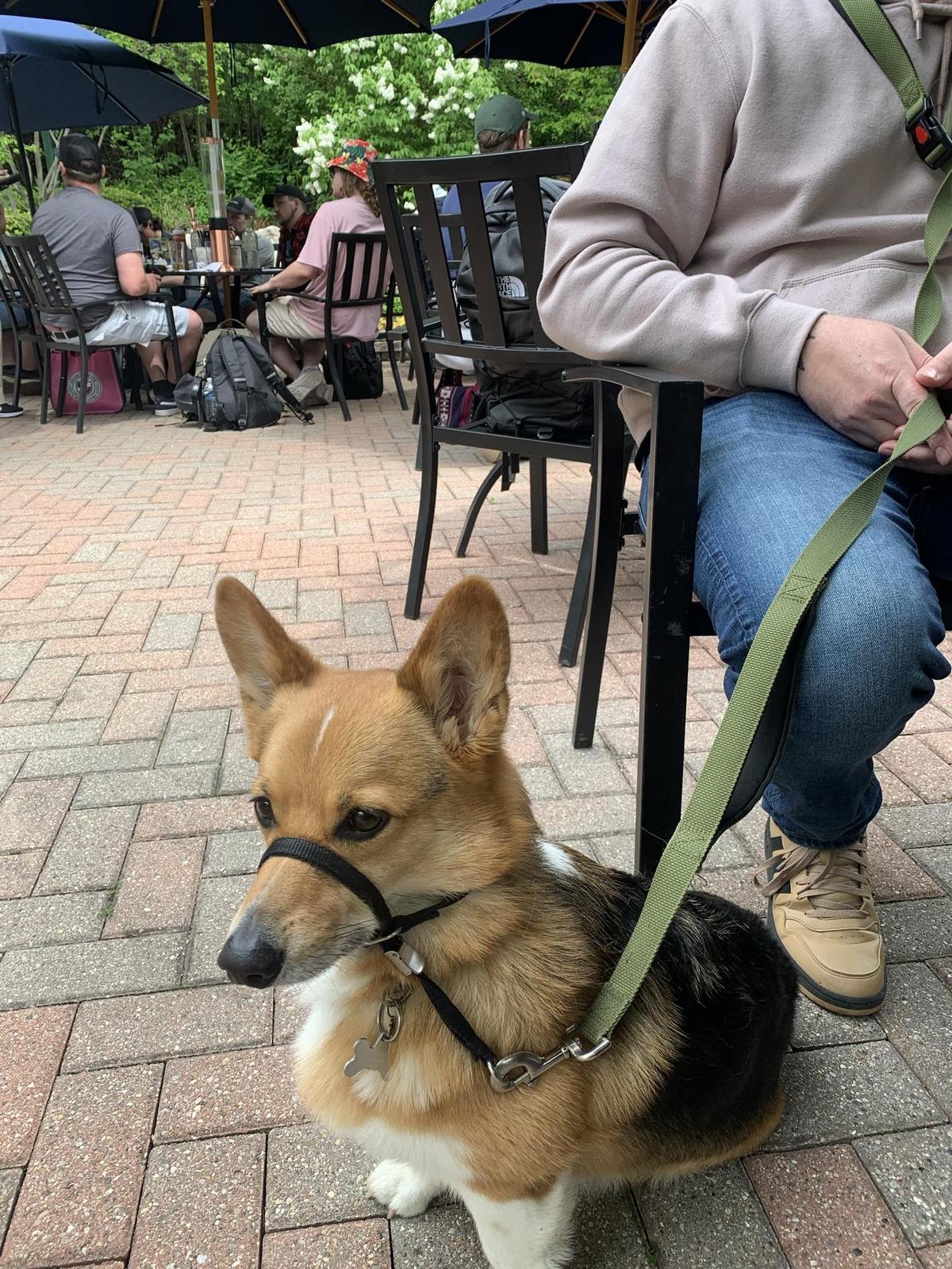 Ice House BBQ restaurant view 2