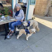 The Woodrose Café restaurant view 1