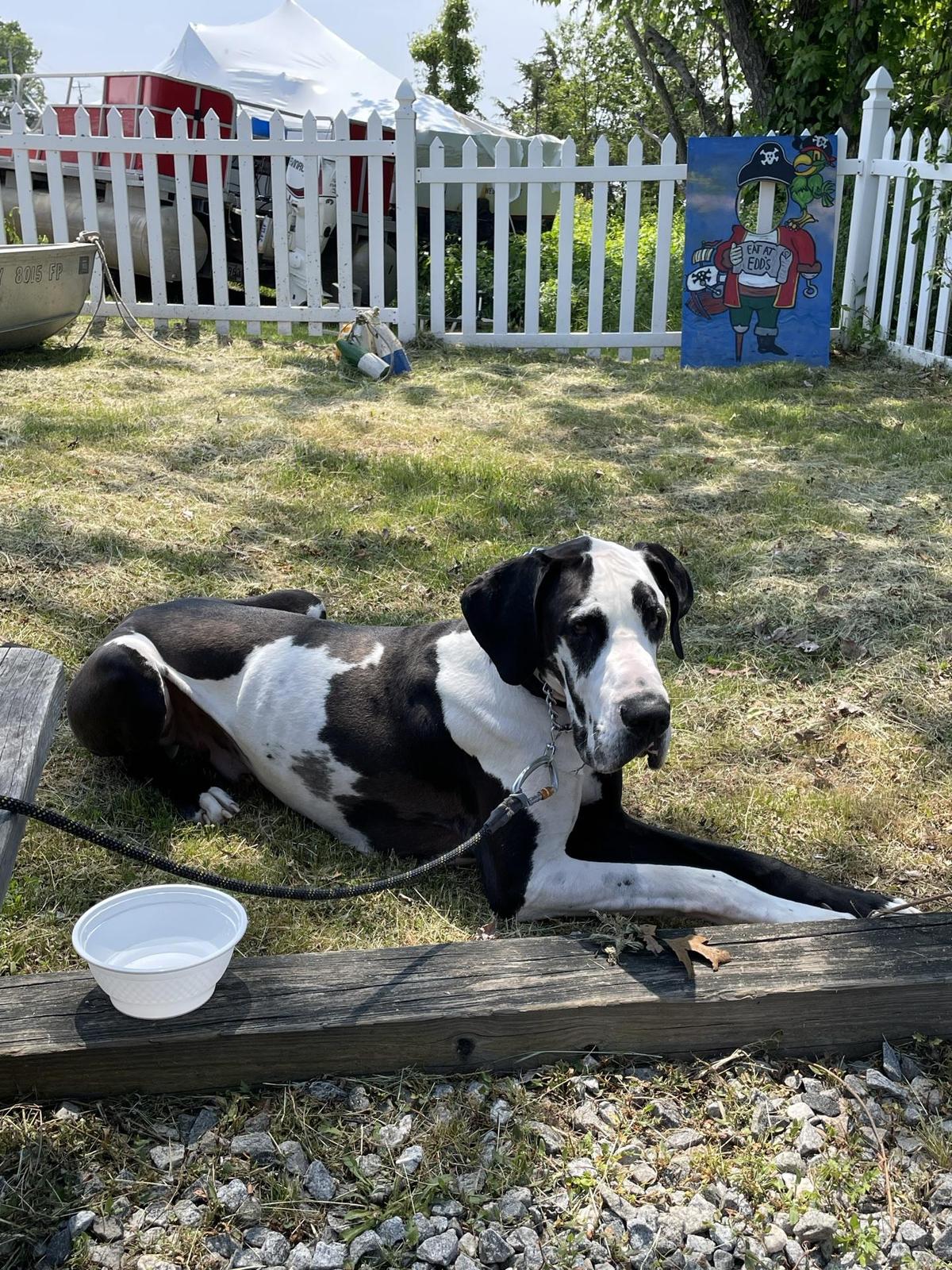 Edd's Place restaurant view 1