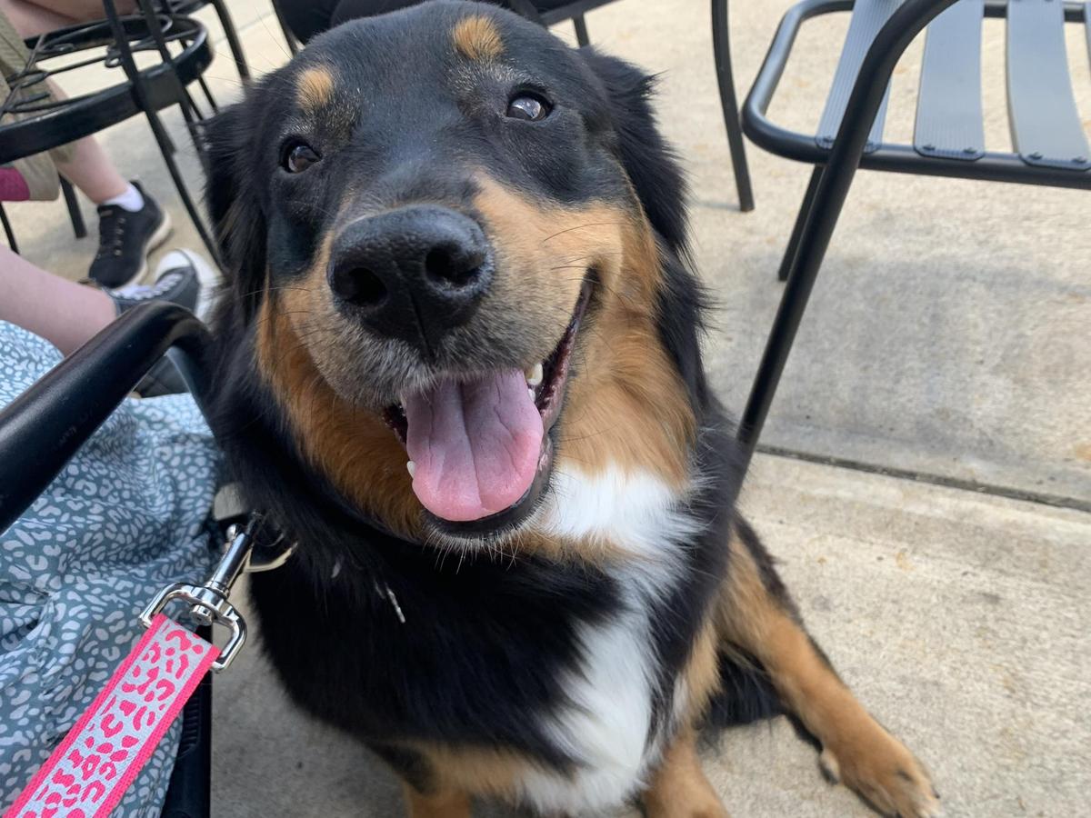 The Barn restaurant view 2