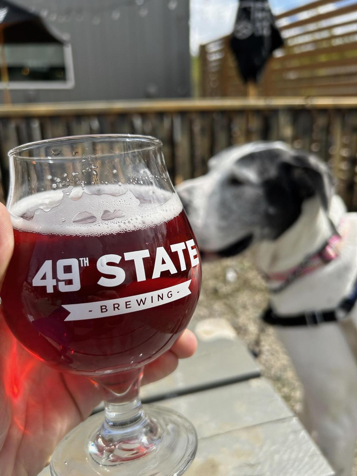 Image of 49th State Brewing Company