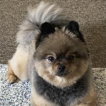 Rascals Bar & Grill restaurant view 1