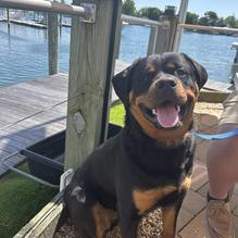 Porto Bello restaurant view 1