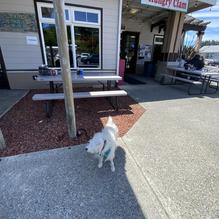 Hungry Clam restaurant view 1