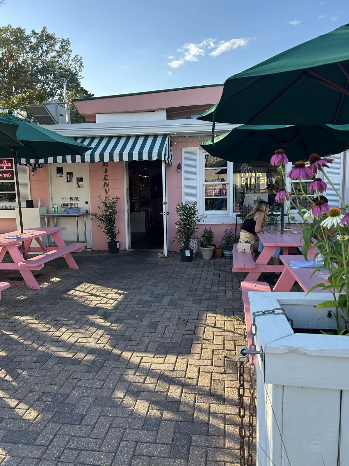 Image of The Pink Dinghy